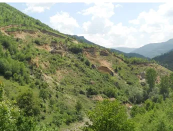 Şekil 1. Heyelan görüntüsü (Yığılca-Düzce) 