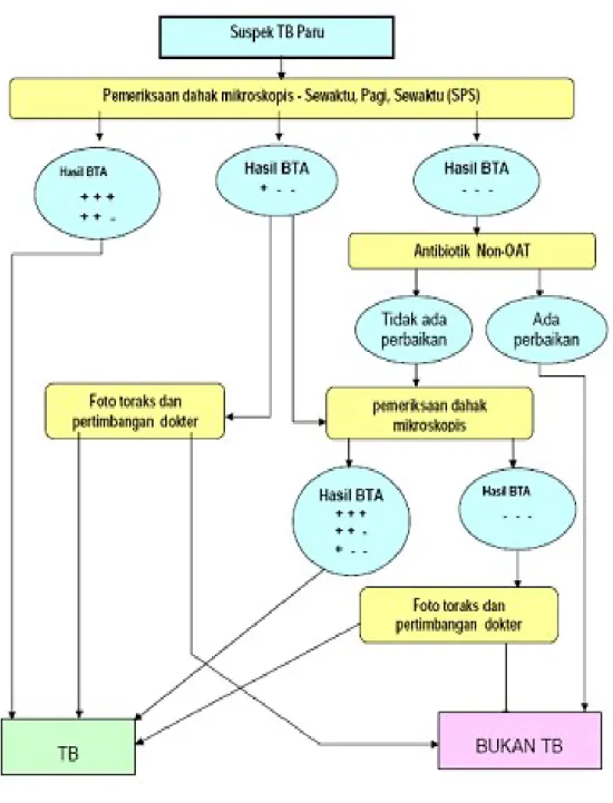 Gambar 2.2 Alur Diagnosis TB