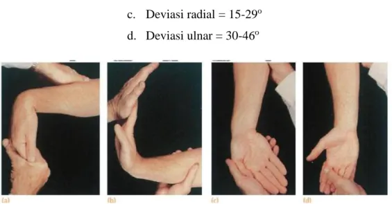 Gambar 2 Gerakan-gerakan pada pergelangan tangan : A.Fleksi, B. Ekstensi, C.Deviasi Ulnar,  D.Deviasi Radial 4 