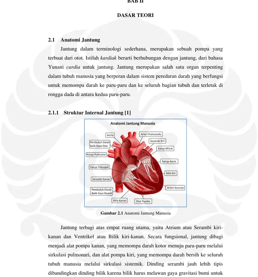 Gambar 2.1 Anatomi Jantung Manusia 
