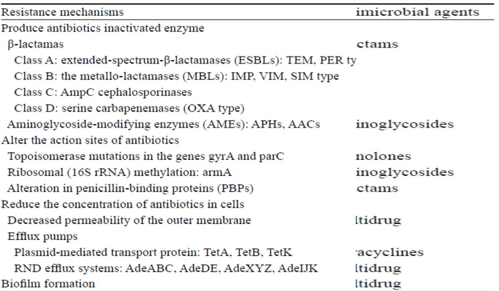 Gambar 5. Gambaran potensi mekanisme dari resistensi antibiotik pada Acinetobacter 1