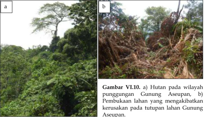 Gambar  VI.10.  a)  Hutan  pada  wilayah  punggungan  Gunung  Aseupan,  b)  Pembukaan  lahan  yang  mengakibatkan  kerusakan  pada  tutupan  lahan  Gunung  Aseupan