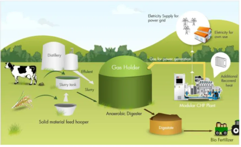 Gambar 2.1 Plant Biogas[9]