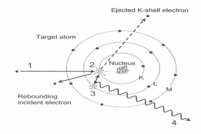 Gambar II.1. Proses terjadinya radiasi sinar-X karakteristik 