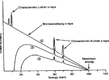 Gambar II.3. Spektrum radiasi sinar-X bremstrahlung dan Karakteristik  (Sumber : The Essential Physics of Medical Imaging, Busberg,2002,hal 101) 