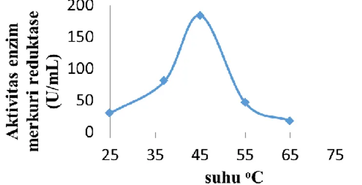 Gambar 6. Kurva pengaruh variasi suhu terhadap aktivitas enzim merkuri reduktase  KESIMPULAN 