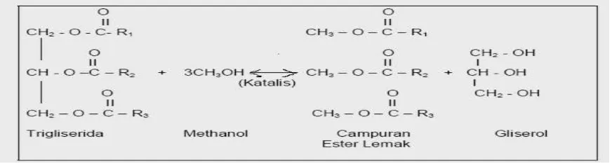 Gambar 2.2 Reaksi Transesterifikasi 