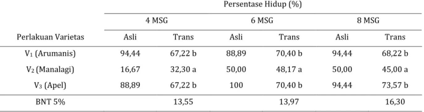 Tabel  2  menunjukkan  bahwa  persentase  hidup  tertinggi  pada  umur  8  MSG  dijumpai  pada  perlakuan  V3  (apel)  yaitu sebesar 94,44 % yang tidak berbeda  nyata dengan V1 (Arumanis) sebesar 94,44 