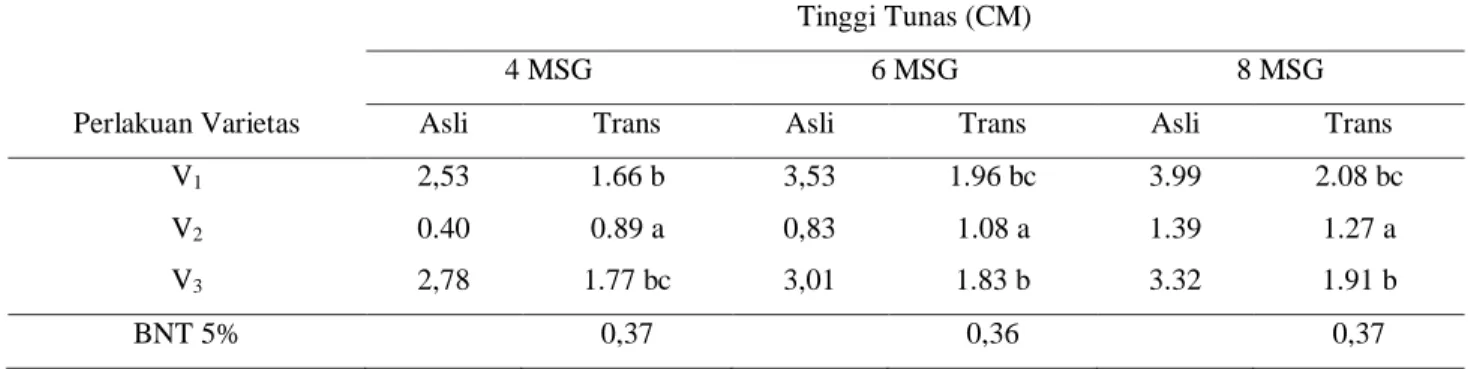 Tabel 3 menunjukkan rata-rata tinggi  tunas  sambung  pucuk  tanaman  mangga  akibat  perlakuan  varietas  umur  4  MSG  perlakuan  V1  (Arumanis)  tidak  berbeda  nyata dengan V3 (Apel) tetapi bebeda nyata  dengan  V2  (Manalagi)  sedangkan  pada  umur 6 