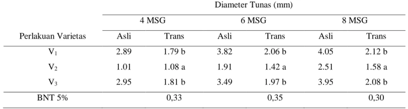 Tabel  4  menunjukkan  rata-rata  diameter  tunas  sambung  pucuk  tanaman  mangga  akibat  perlakuan  varietas  umur  4  MSG  perlakuan  V1  (Arumanis)  tidak  berbeda  nyata  dengan  V3  (Apel)  namun  berbeda  nyata  dengan  V2  (Manalagi)  sedangkan pa