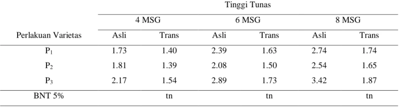 Tabel  7  menunjukkan  bahwa  tinggi  tunas  sambung  pucuk  tanaman  mangga  umur  4,  6  dan  8  MSG  tidak  berpengaruh  nyata  terhadap  perlakuan  panjang  entres
