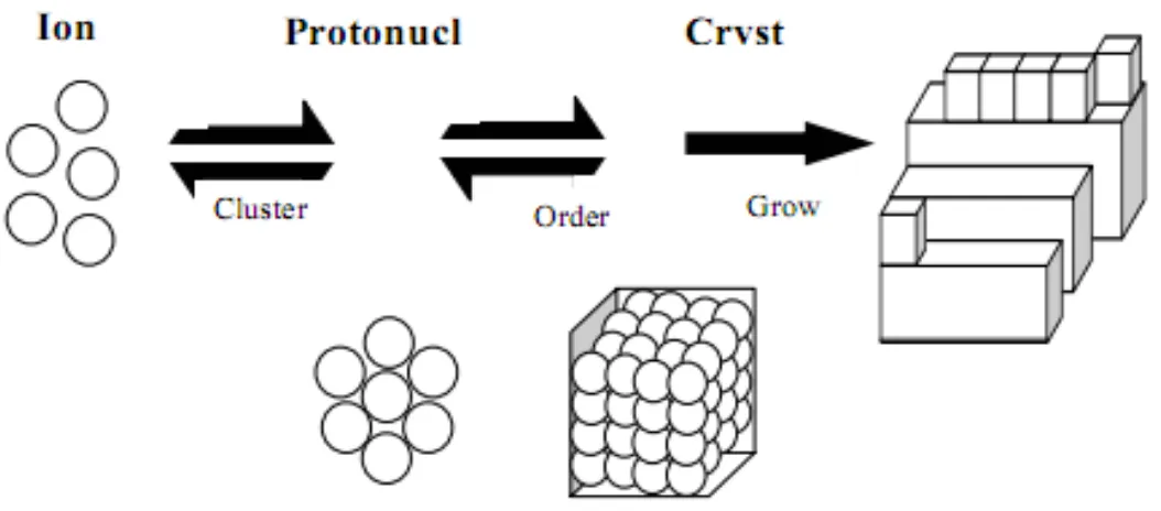 Gambar 1.Tahapan kristalisasi(Zeiheret al., 2003). 