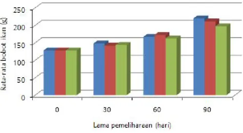 Gambar  1. Pola pertumbuhan ikan beronang yang diberi pakan 3 jenispakan uji  pada  pemeliharaan  dalam  keramba  jaring  apung  di  laut Tabel 2