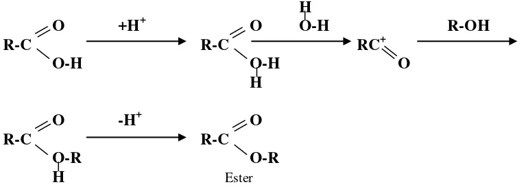 Gambar 2.3 Reaksi esterifikasi (Sumber: Silalahi, 1999) 
