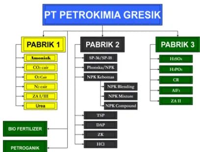 Gambar 4.1 Ranah produksi pabrik PT. Petrokimia Gresik  4.1.4  Sistem Produksi Asam Fosfat 