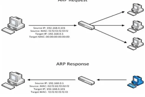Gambar 2 ARP Request dan Respon 