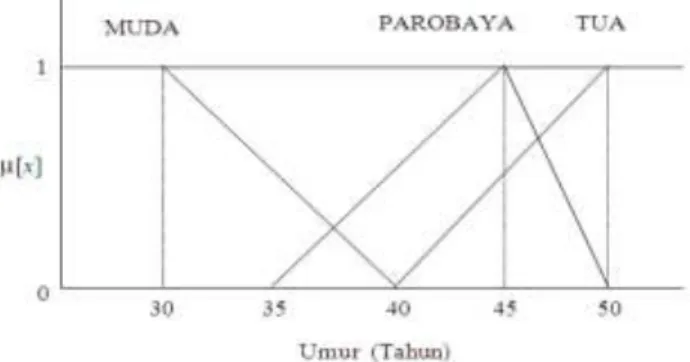 Gambar 1. Fungsi Keanggotaan Untuk Variabel Usia  (Kusumadewi, 2010) 