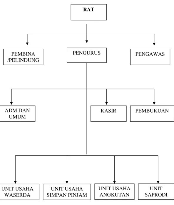 Gambar III.I : Struktur Organisasi Koperasi Unit Desa (KUD) Tenara     Mukti Di UPT. VI Sei Garo 