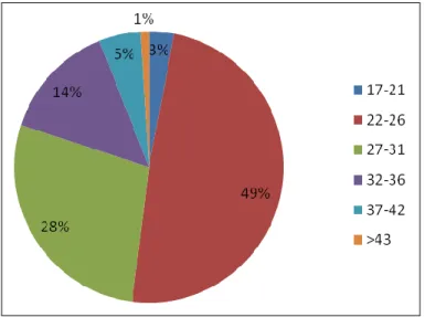 Gambar 1.2 Chart segmentasi umur 