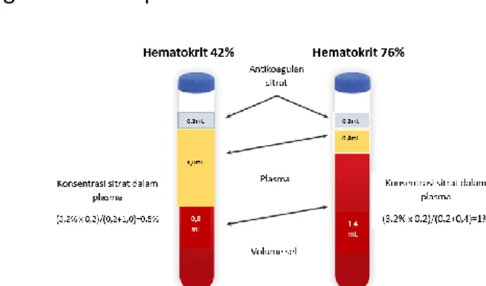 Gambar 2.   Ilustrasi Efek Hematokrit pada Rasio Antikoagulan Natrium  Sitrat dan Plasma  pada Tabung 3,2% Natrium sitrat 2,0 mL