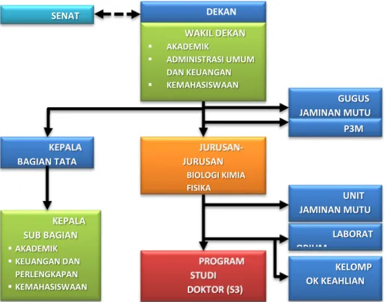 Gambar 1.2 Struktur Organisasi Fakultas MIPA 
