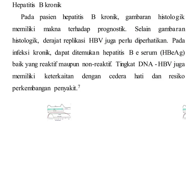 Gambar  6. Gambaran  serologis pada  infeksi virus  hepatitis  B kronik . 7