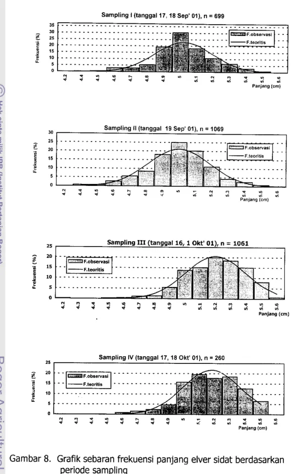 Gambar 8.  Grafik sebaran frekuensi panjang elver sidat berdasarkan  periode sampling 