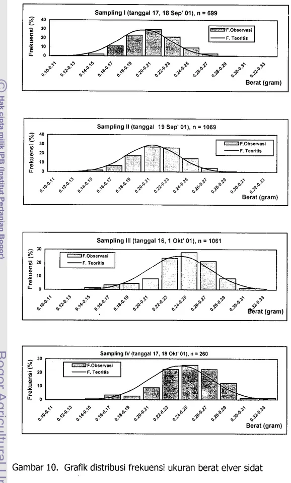 Gambar  10.  Grafik distribusi frekuensi  ukuran berat elver sidat 