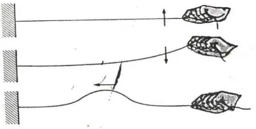 Gambar 2.3. Gerak gelombang tali jika ada gelombang menjalar dari kiri  ke  kanan. 