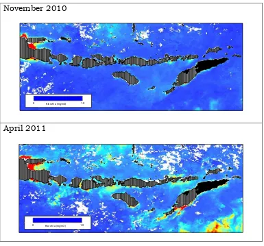 Gambar 10. Kandungan Klorofil di Laut Sawu pada Bulan November 2010 dan April 2011 