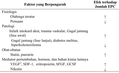 Tabel 2.  Faktor-Faktor yang Mempengaruhi Jumlah dan Fungsional EPC  Faktor yang Berpengaruh  Efek terhadap 