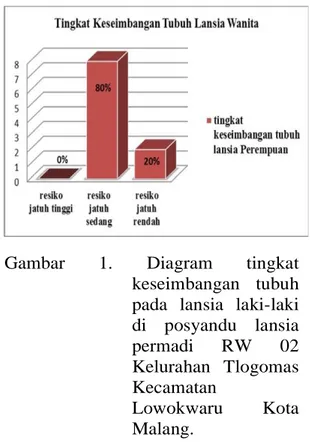 Gambar  1.  Diagram  tingkat  keseimbangan  tubuh  pada  lansia  laki-laki  di  posyandu  lansia  permadi  RW  02  Kelurahan  Tlogomas  Kecamatan  Lowokwaru  Kota  Malang