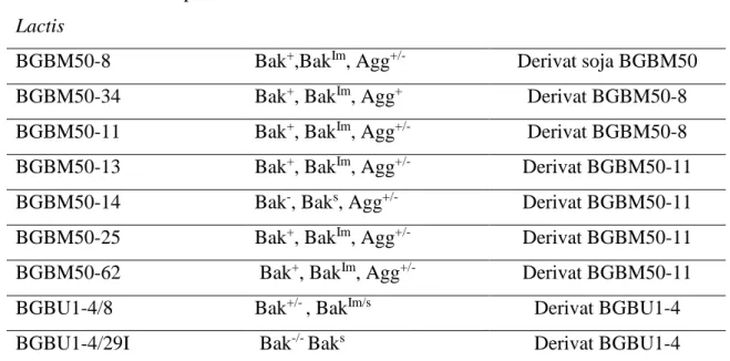 Tabela 4. Derivati testiranih sojeva dobijenih nakon čišćenja plazmida 