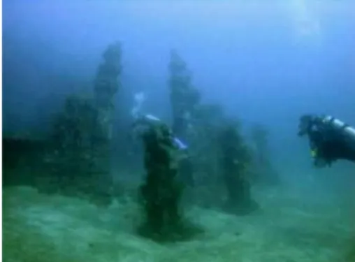 Gambar candi bawah laut diduga di Selat Bali beredar di twitter (twitter astridyogini) 