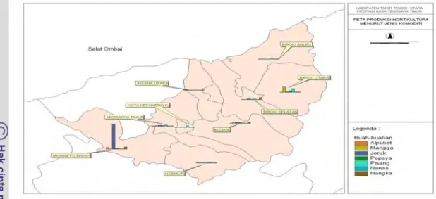 Gambar 13. Pemetaan potensi tanaman hortikultura di Kabupaten TTU per    kecamatan tahun 2006 