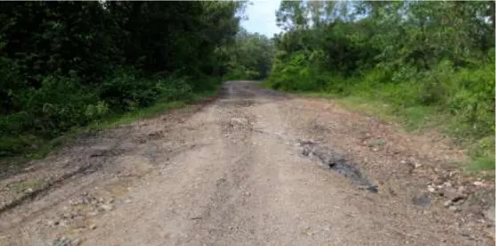 Gambar 4.1  Jalan Lurus Pada PT. Nusa Alam Lestari 