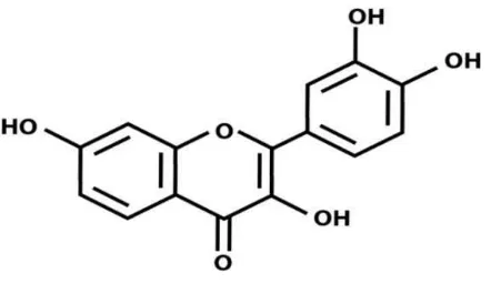 Gambar 3. Struktur flavonoid 