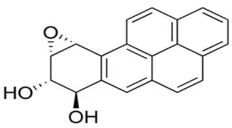 Gambar 5. Struktur kimia benzo[a]piren  