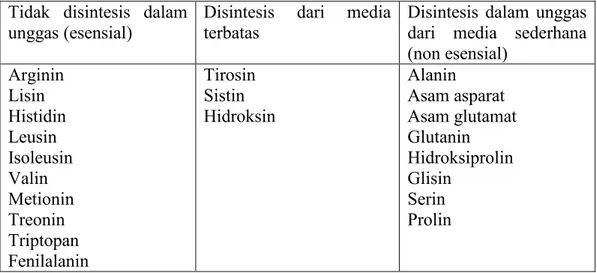 Tabel 4. Klasifikasi Asam-asam amino. Tidak  disintesis  dalam