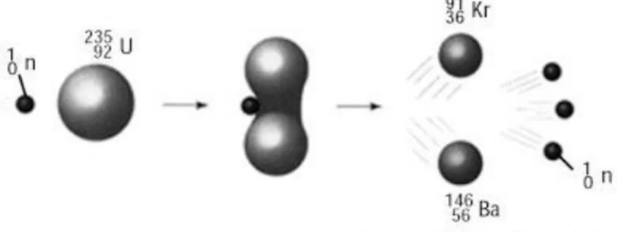 Gambar 1. Reaksi fisi  235 U dengan neutron membentuk kripton dan barium disertai pelepasan energi sebesar 3,5 