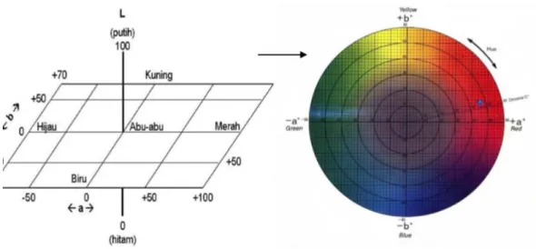 Gambar 1. Diagram Warna L*a*b* 