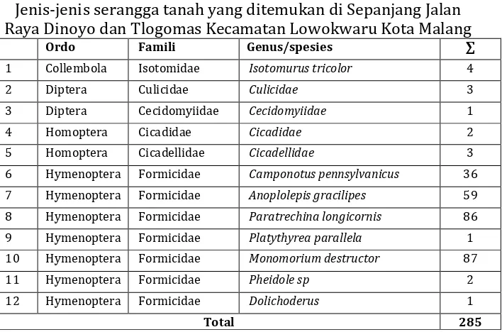 Tabel 1. Jenis-jenis serangga tanah yang ditemukan di Sepanjang Jalan 