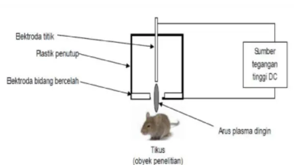 Gambar  1.  Desain  sistem  teknologi  plasma  dingin  beserta  tikus  sebagai  obyek penelitian  