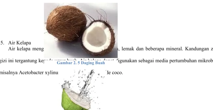 Gambar 2. 3 Saabut Kelapa