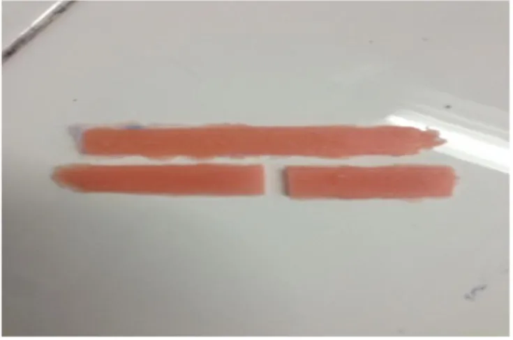 Gambar 3.1 resin akrilik dengan aktivasi kimia atau cold cured 