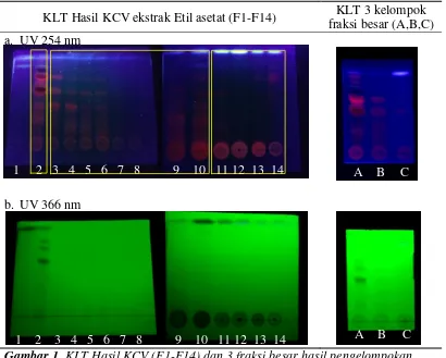 Gambar 1. KLT Hasil KCV (F1-F14) dan 3 fraksi besar hasil pengelompokan  menggunakan eluen n-heksana:etil asetat (8:2)