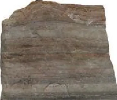 Gambar 3.3 Tekstur dari batuan metamorfosa