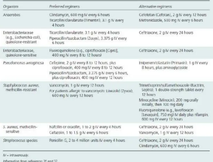 Gambar 8.terapi antibiotik osteomielitis