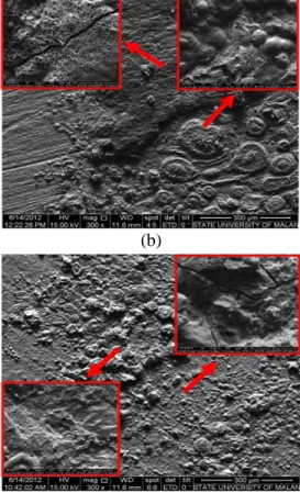 Gambar 4. Hasil SEM dari permukaan spesimen pelat baja (a) tanpa anoda,  (b) dengan anoda, (c) dengan anoda yang diaging  dengan  temperatur  220 o  C 