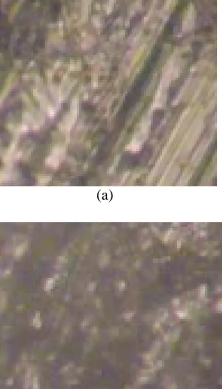 Gambar 5. Pola difraksi XRD pada spesimen Pelat Baja (a) tanpa anoda, (b)  dengan anoda, (c) dengan anoda yang diaging  dengan  temperatur  220 o  C 